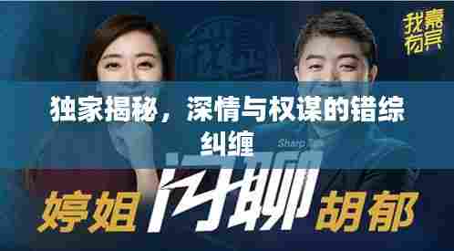 独家揭秘,深情与权谋的错综纠缠