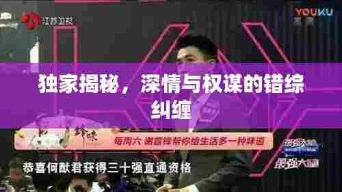 独家揭秘,深情与权谋的错综纠缠