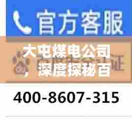 大屯煤电公司,深度探秘百度收录的焦点企业