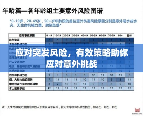 应对突发风险,有效策略助你应对意外挑战