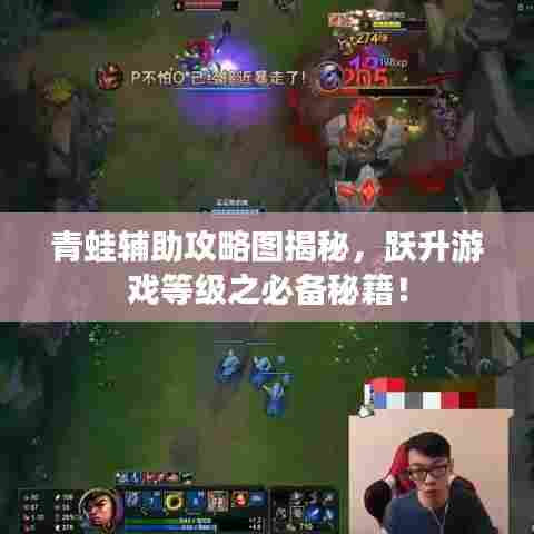 青蛙辅助攻略图揭秘，跃升游戏等级之必备秘籍！