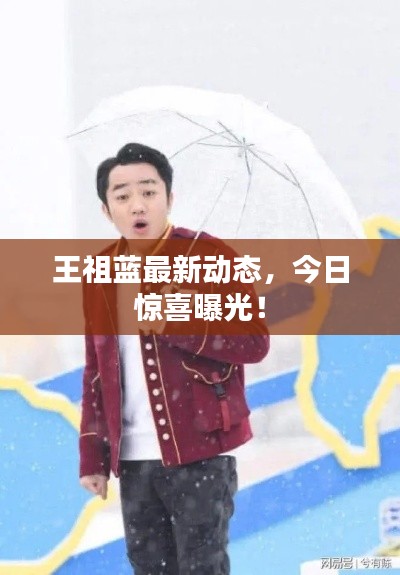 王祖蓝最新动态，今日惊喜曝光！