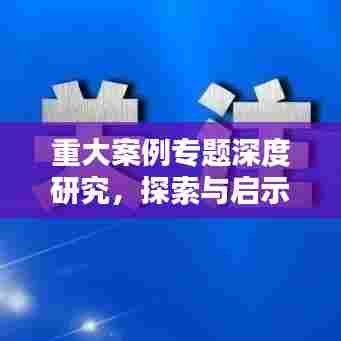 重大案例专题深度研究，探索与启示，引领思考之路