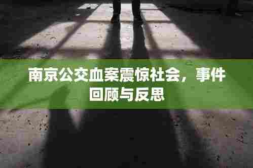 南京公交血案震惊社会,事件回顾与反思