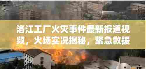 洛江工厂火灾事件最新报道视频，火场实况揭秘，紧急救援进展追踪