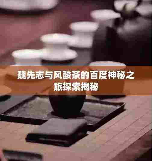 魏先志与风酸茶的百度神秘之旅探索揭秘