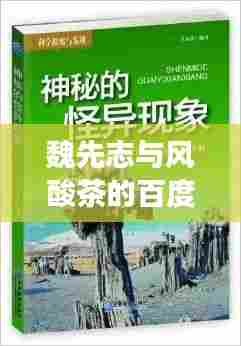魏先志与风酸茶的百度神秘之旅探索揭秘