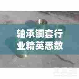 轴承铜套行业精英悉数登场，最新排名榜单揭晓！