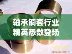 轴承铜套行业精英悉数登场,最新排名榜单揭晓!