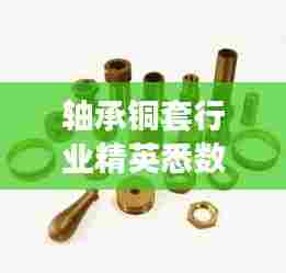 轴承铜套行业精英悉数登场,最新排名榜单揭晓!