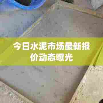 今日水泥市场最新报价动态曝光