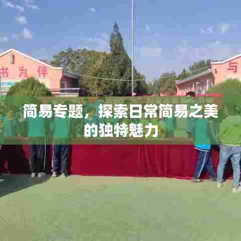 简易专题，探索日常简易之美的独特魅力