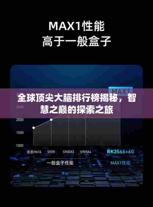 全球顶尖大脑排行榜揭秘，智慧之巅的探索之旅