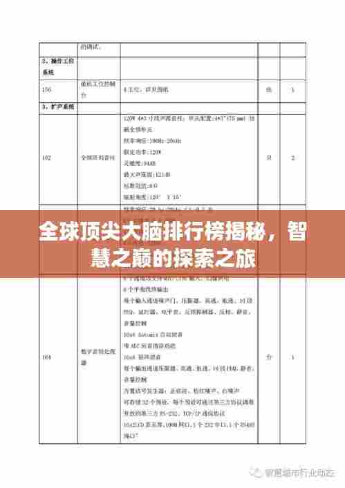 全球顶尖大脑排行榜揭秘,智慧之巅的探索之旅