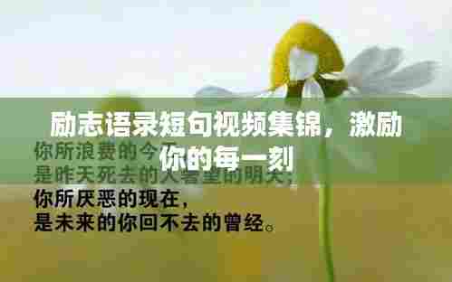 励志语录短句视频集锦，激励你的每一刻