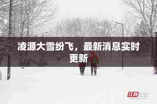 凌源大雪纷飞,最新消息实时更新