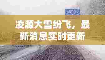 凌源大雪纷飞,最新消息实时更新