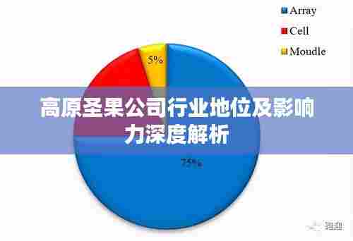 高原圣果公司行业地位及影响力深度解析