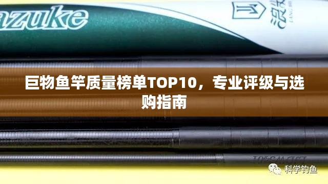 巨物鱼竿质量榜单TOP10，专业评级与选购指南