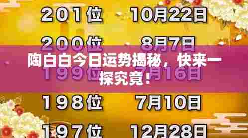 陶白白今日运势揭秘，快来一探究竟！