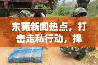 东莞新闻热点，打击走私行动，捍卫经济安全防线
