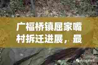 广福桥镇屈家嘴村拆迁进展，最新消息揭秘拆迁动态
