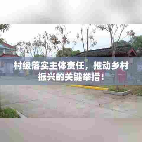 村级落实主体责任,推动乡村振兴的关键举措!