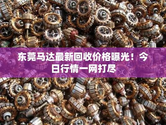 东莞马达最新回收价格曝光！今日行情一网打尽