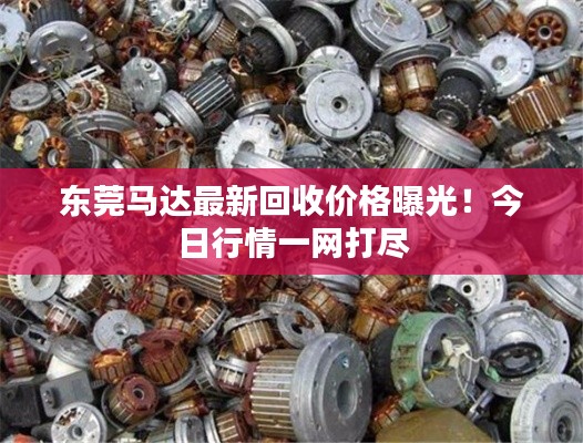 东莞马达最新回收价格曝光!今日行情一网打尽