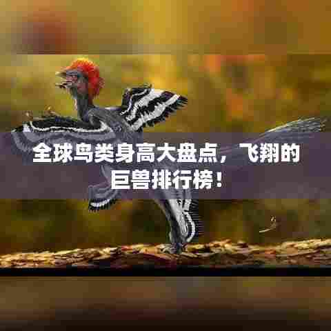 全球鸟类身高大盘点，飞翔的巨兽排行榜！