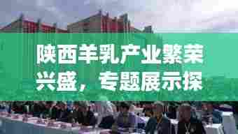 陕西羊乳产业繁荣兴盛，专题展示探索羊乳产业未来发展之路