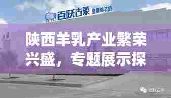 陕西羊乳产业繁荣兴盛,专题展示探索羊乳产业未来发展之路