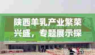陕西羊乳产业繁荣兴盛,专题展示探索羊乳产业未来发展之路