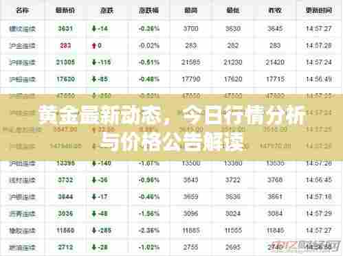 黄金最新动态，今日行情分析与价格公告解读