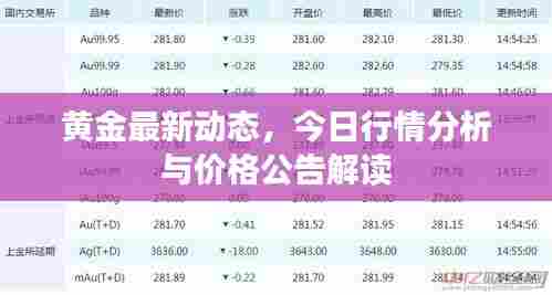 黄金最新动态,今日行情分析与价格公告解读