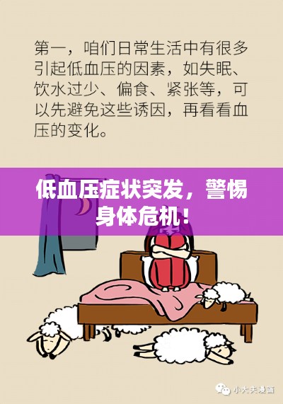 低血压症状突发，警惕身体危机！