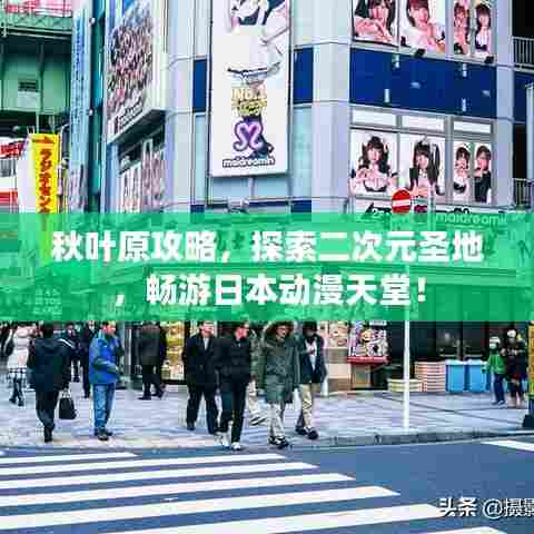 秋叶原攻略,探索二次元圣地,畅游日本动漫天堂!