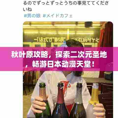 秋叶原攻略,探索二次元圣地,畅游日本动漫天堂!