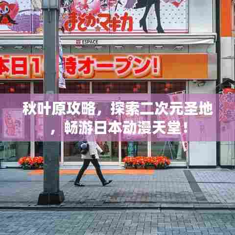 秋叶原攻略,探索二次元圣地,畅游日本动漫天堂!