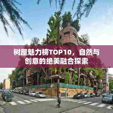 树屋魅力榜TOP10,自然与创意的绝美融合探索