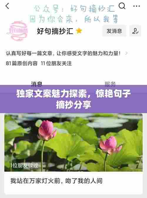 独家文案魅力探索,惊艳句子摘抄分享