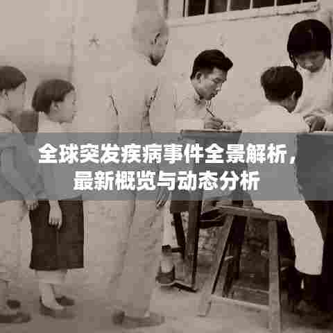 全球突发疾病事件全景解析,最新概览与动态分析