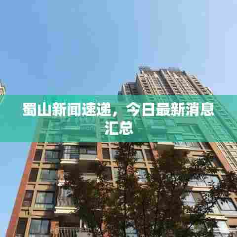 蜀山新闻速递,今日最新消息汇总