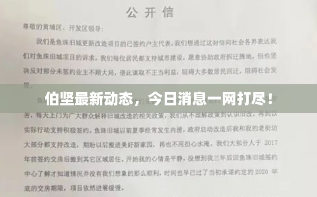 伯坚最新动态，今日消息一网打尽！