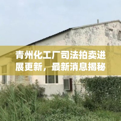 青州化工厂司法拍卖进展更新，最新消息揭秘