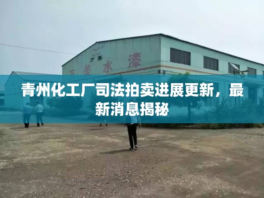 青州化工厂司法拍卖进展更新,最新消息揭秘