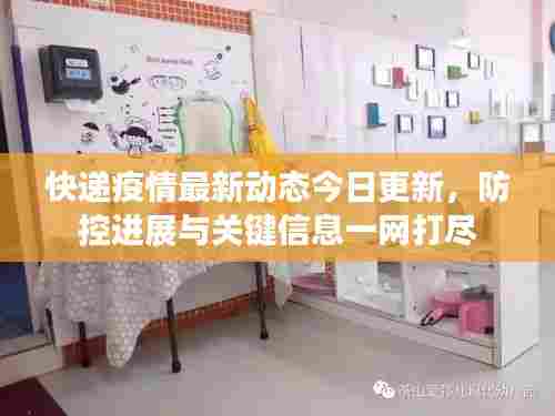 快递疫情最新动态今日更新，防控进展与关键信息一网打尽