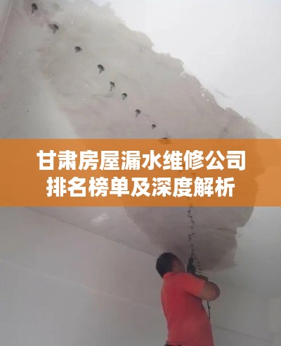 甘肃房屋漏水维修公司排名榜单及深度解析