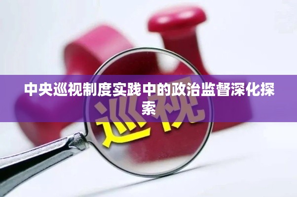 中央巡视制度实践中的政治监督深化探索