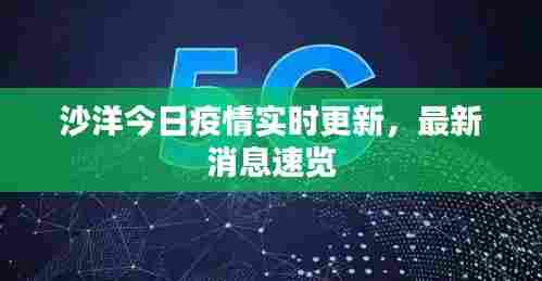 沙洋今日疫情实时更新,最新消息速览